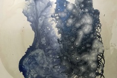 Collaboration with Nature #2