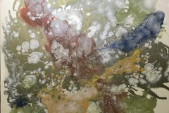 Collaboration with Nature #4