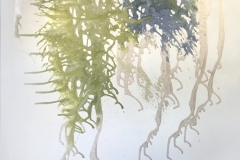 natures-place-58x48-12wx